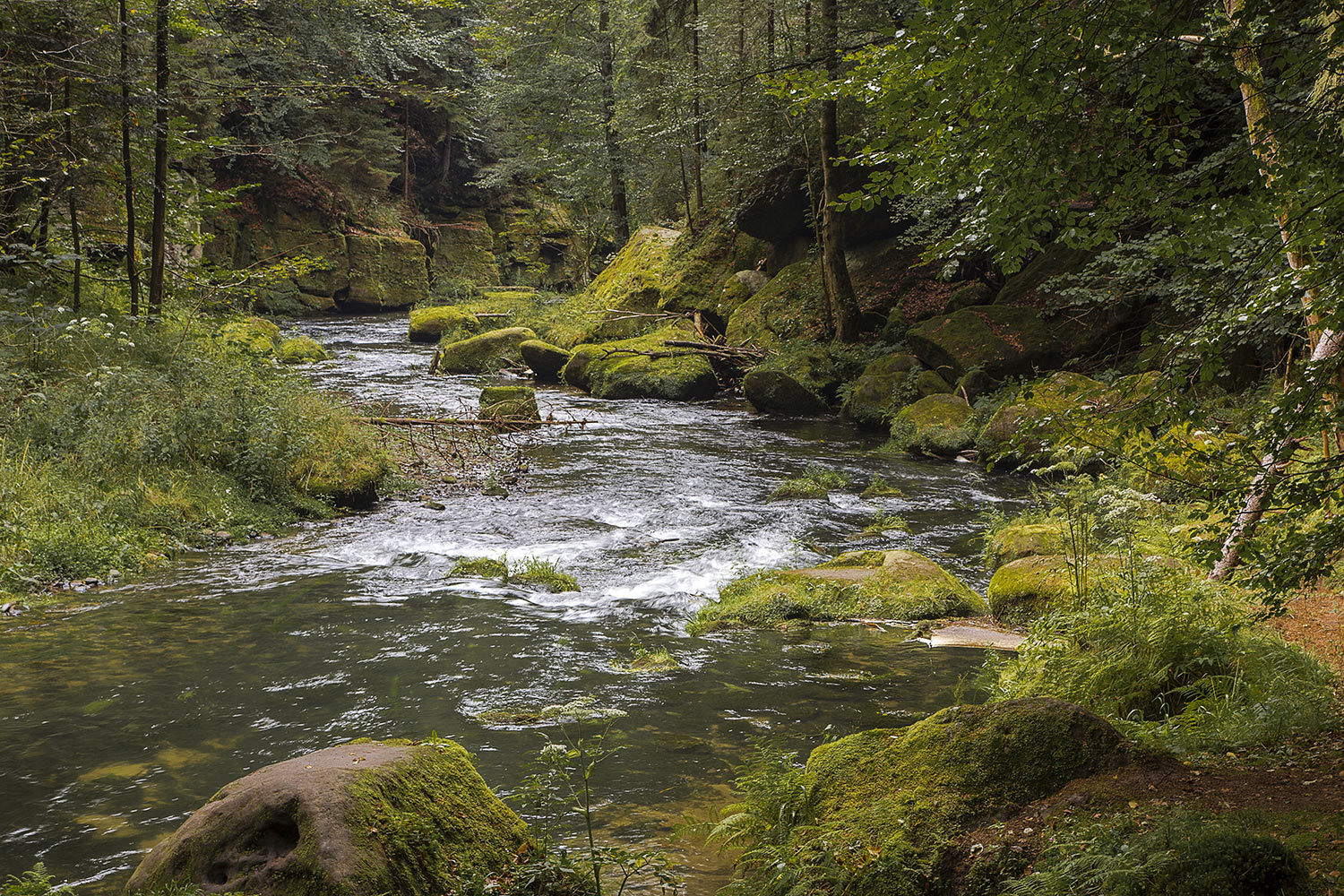 Kamenice river, Hrensko